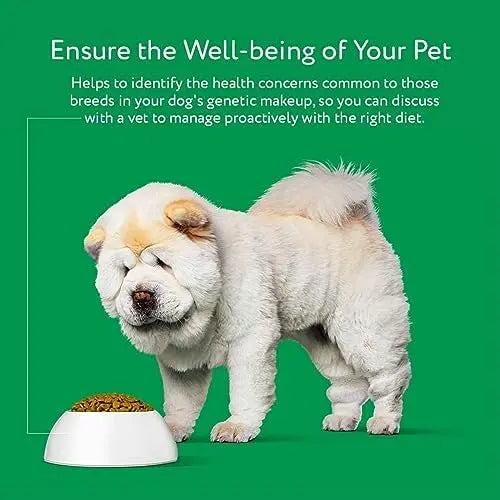 DNA My Dog Essential Breed & Trait Test  Non-Invasive Cheek Swab for Mixed-Breed Identification & Personality Insights