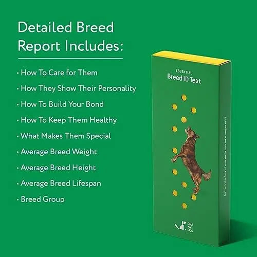 DNA My Dog Essential Breed & Trait Test  Non-Invasive Cheek Swab for Mixed-Breed Identification & Personality Insights