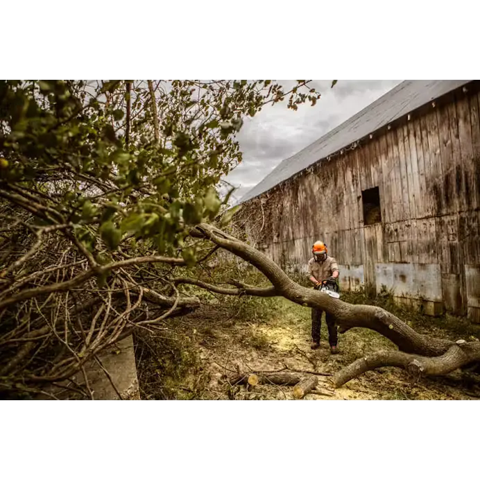 STIHL MS 362 Professional Chainsaw – High-Performance Logging Saw