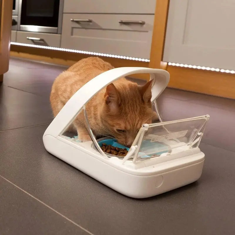 SureFeed Microchip-Activated Pet Feeder – Dual-Chamber Design for Wet and Dry Food, Lightweight Build, Includes Absorbent Pet Towel