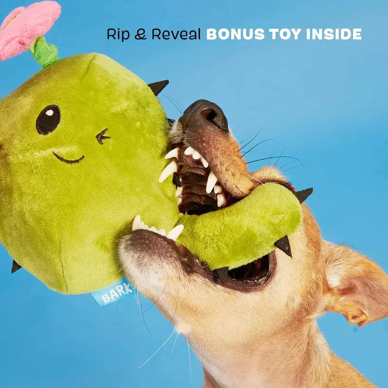 Consuela the Cactus Interactive Plush Toy for Large Dogs  Squeaker & Hidden Toy, Non-Toxic, Indoor/Outdoor Use